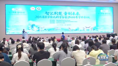 省医学会儿科学分会2026学术年会在我市开幕