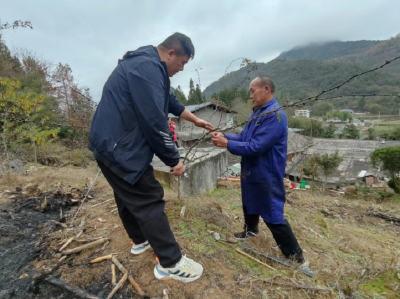 鹤峰“小花椒”助力乡村振兴“大产业”