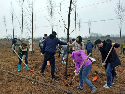 市城乡规划局组织干部职工参加2019年全市义务植树活动