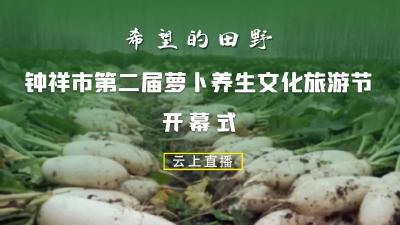 《希望的田野》钟祥市第二届萝卜养生文化旅游节开幕式