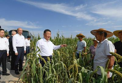 时政特稿丨总书记的“大食物观”