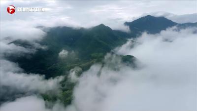 “请总书记放心，我们一定会把大湾村建设得更美更好”