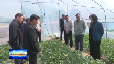 赵少莲到沙洋县调研双冢村产业发展和检查企业安全生产工作