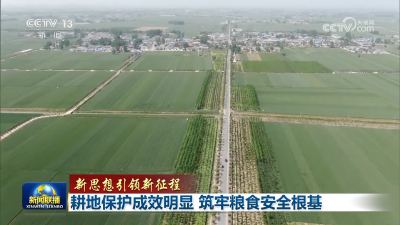 耕地保护成效明显 筑牢粮食安全根基