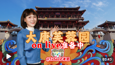 时政Vlog丨大唐芙蓉园on live准备中