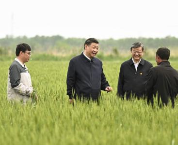 一见·从总书记下田，看粮食安全的“加减法”