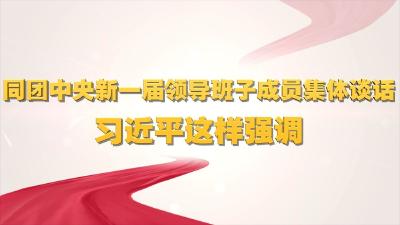 同团中央新一届领导班子成员集体谈话 习近平这样强调