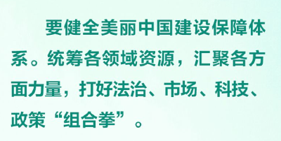 健全美丽中国建设保障体系 习近平指出打好“组合拳”