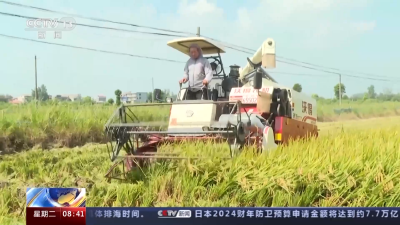 稻花香里说丰年！一文了解全国多地水稻收割情况