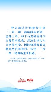 习近平推动共建“一带一路”：营造共建共享的安全格局