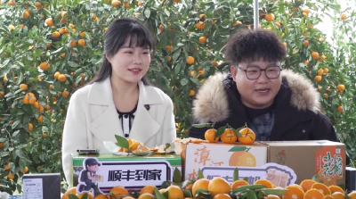 漳河镇：直播卖柑橘 拓展助农销售渠道