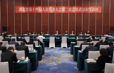 王忠林参加省十四届人大二次会议武汉代表团审议