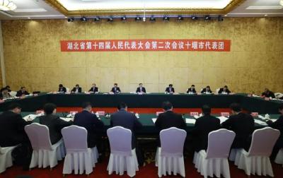王忠林参加省十四届人大二次会议十堰代表团审议