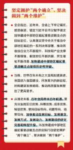 党端划重点丨中共湖北省委十二届六次全体会议精神解读（手账版） 