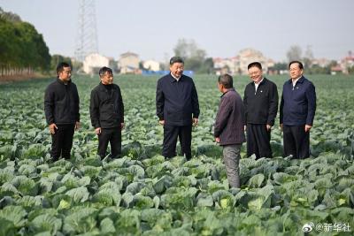 习近平：推进中国式现代化，必须加快推进乡村振兴