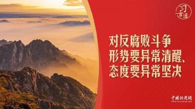 【习近平新时代中国特色社会主义思想宣传阐释】重要会议年末召开，习近平强调“决不能手软”