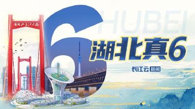 湖北，真6！