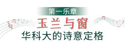 武汉早春四重奏暴击！玉兰窗景、单车骑行、咖啡慢调……第四重绝了