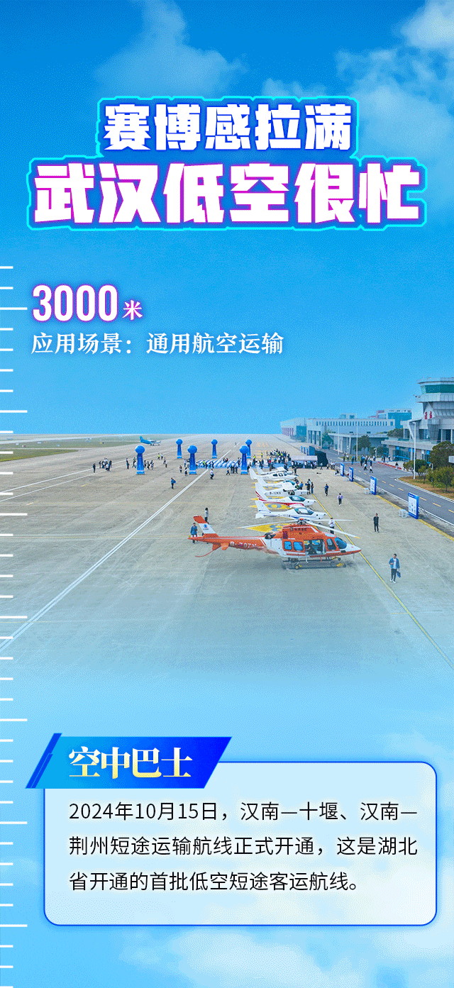 牢记嘱托 建成支点丨载人的、送货的、滑翔的、救援的，武汉低空好忙！