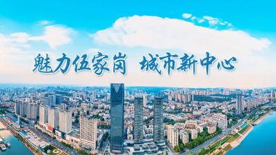 从肥鱼盛宴到汽车狂欢！伍家岗激活消费新势能的“永动密码” 