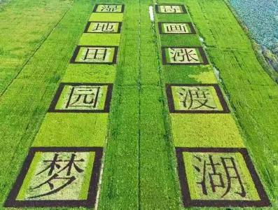 牢记嘱托 建成支点︱摸“家底” 挖“矿藏” 强“智治”，加快推进美丽武汉建设