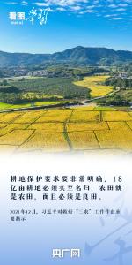 看图学习丨“守住耕地这个命根子” 总书记心系耕地保护