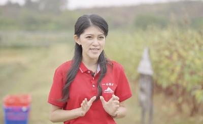 聚焦湖北·武汉台湾周丨山海不为远，心安即是家，台湾青年扎根武汉筑梦圆梦