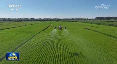 【新思想引领新征程】保护好黑土地 筑牢国家粮食安全根基