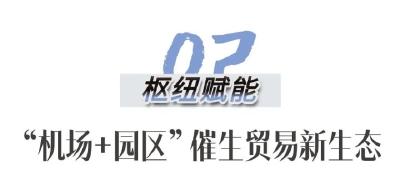 从枝头到手头！鄂州打造“全球买卖”双引擎