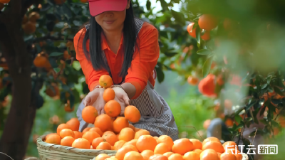 楚地丰饶 鱼米新篇