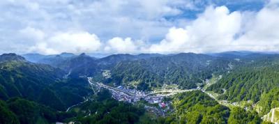 夷陵“小天麻”何以大卖11亿？