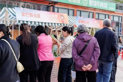 陌邻成睦邻——宜昌伍家岗15.9万志愿者的社区治理答卷