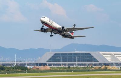 人民日报连线湖北：“飞雁”→“归雁”→“留雁”