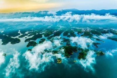 党建“一根针”穿起千条线 仙岛湖畔绣出景美民富新画卷