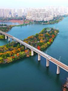 天下再次重武汉