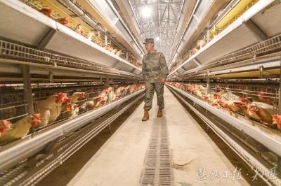 “无中生有”一枚蛋 ——恩施市太阳河乡小鸡“孵”出大产业