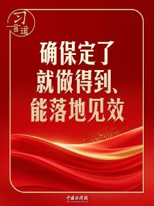 习言道｜开局之年，习近平强调落地见效