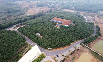 老篾匠端起新饭碗！“以竹代塑”，让沉睡的非遗技艺重放光彩