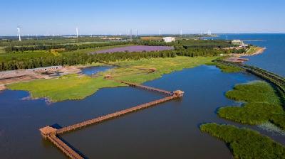 镜观·回响｜生态美，旅游兴——查干湖的绿色交响