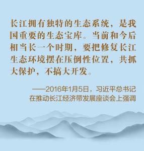 万物向新，长江回响