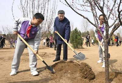 习近平在参加首都义务植树活动时强调 为山川大地增添锦绣 让中国式现代化底色更加亮丽