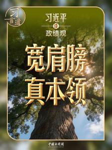 习近平谈政绩观｜练就担当作为的硬脊梁、铁肩膀、真本事