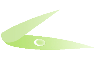 政银企联动激活“无形”资产——荆门市2026年知识产权质押融资银企对接活动成功举办