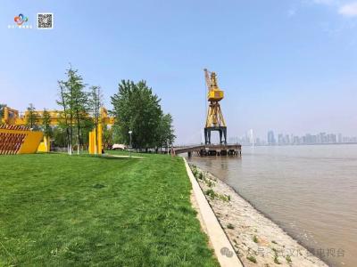 长江十年武汉答卷 | 立规•重生：制度的力量与岸线的重生