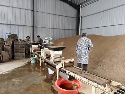 “物语”三重问春安——枝江问安镇一粒米、一滴水、一朵花的振兴启示录