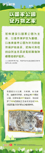 学习时节｜护一方生灵，泽万物共荣，总书记指引的生态之路