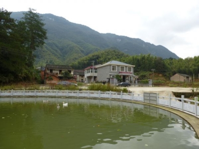 高墙村：干群齐心共建美丽家园