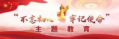 团市委:“四学”联动办好主题教育读书班