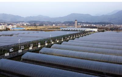 科技创新，引领大冶高质量发展