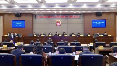 使命在肩砥砺前行坚守初心谱写新篇 ——2020年市人大常委会工作回眸